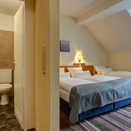 Hotel Ambassador Duesseldorf 3* Düsseldorf