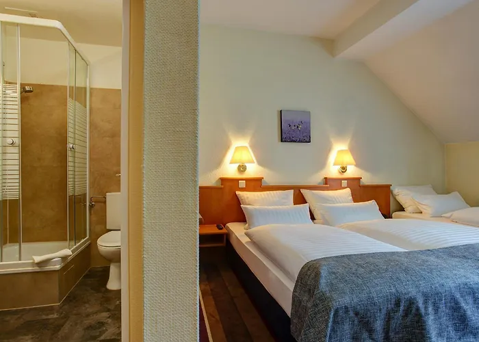 Hotel Sure By Western Ambassador