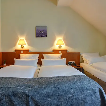 Hotel Ambassador Duesseldorf 3*